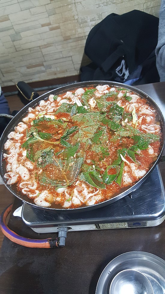  수유역 맛집 욕먹고도 곱창전골이 맛있어가는 실비집 