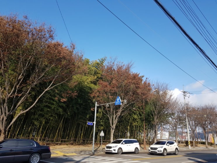 진주 날씨 좋네요