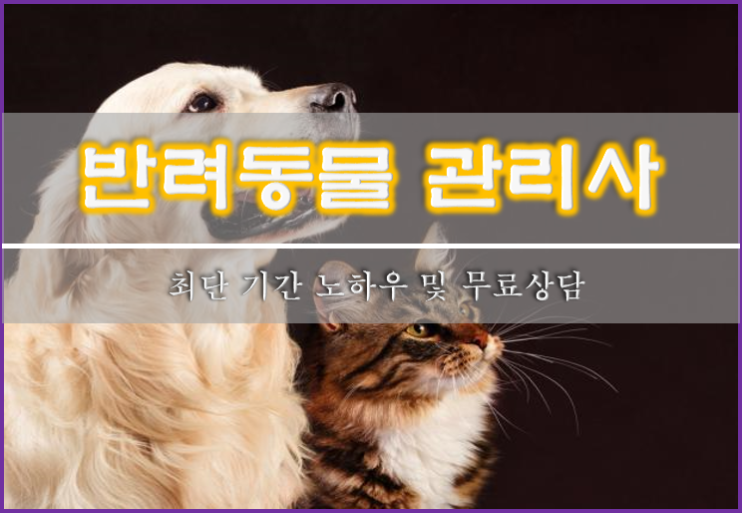  유망직업)반려동물 관리사 자격증 최단기간