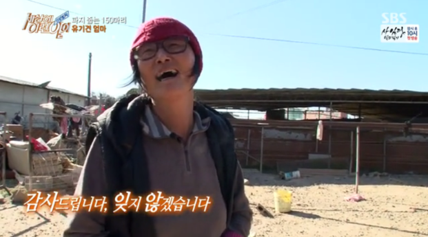  전북 익산 하얀강아지 유기견 보호소 봉사 신청 방법