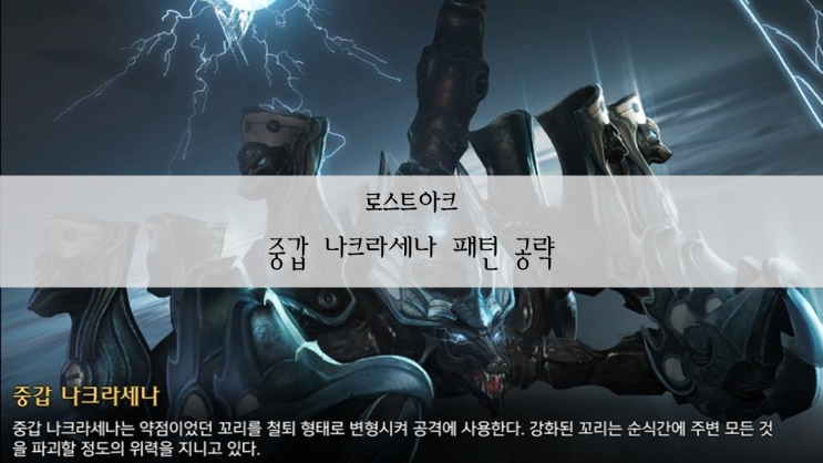  로스트아크 중갑 나크라세나 움짤로 보는 패턴 공략 / 4티어 레이드 중나크 어서 오고