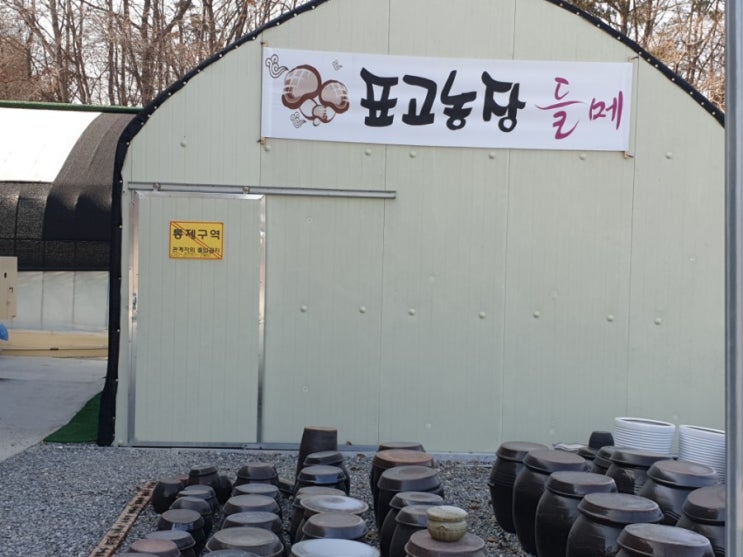  표고농장 파주맛집 반구정맛집 사목리한정식맛집 들메한정식 표고농장체험 표고버섯판매 표고버섯재배 들메표고버섯으로 한정식즐기기..