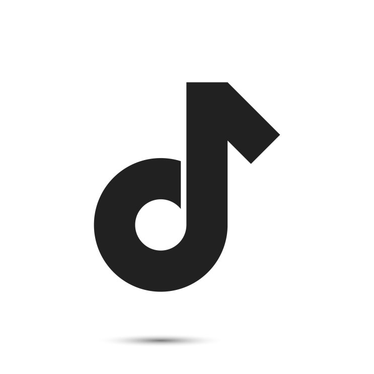  화웨이 다음 타자는 틱톡? 美싱크탱크, 보안유출 우려 증폭