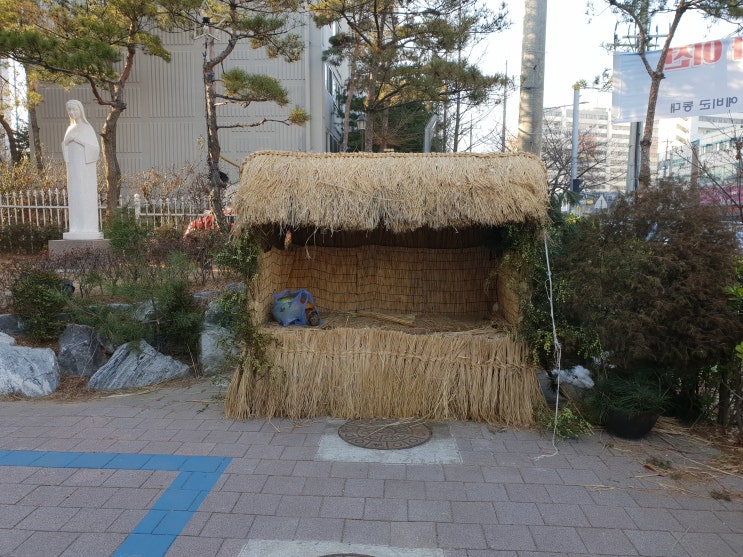  마구간과 성탄트리 철거