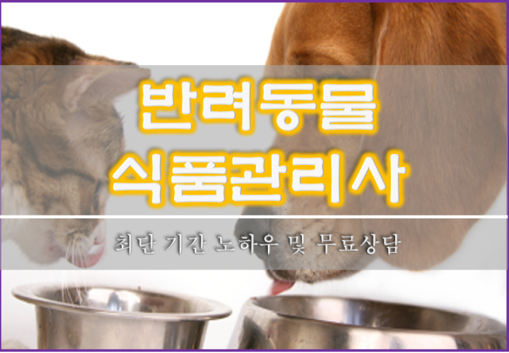 유망직업)반려동물 식품관리사 자격증 최단기간
