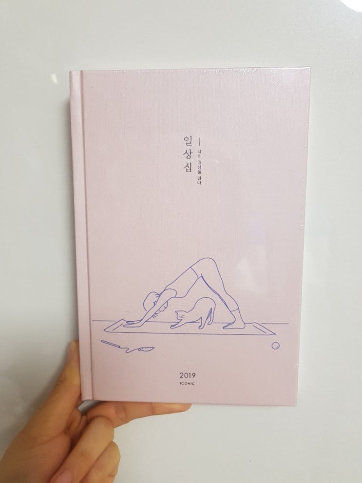  품절대란 2019 일상집 다이어리 어렵게 구한 후기