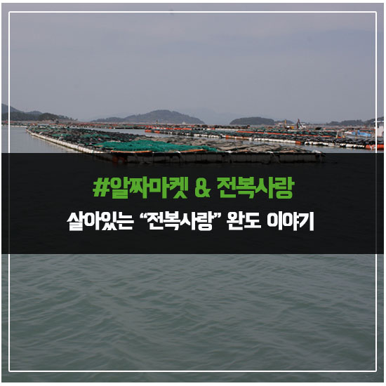  알짜마켓 알짜기업 싱싱한 완도 보길도 전복을 살아있는 그대로 전복사랑을 전하세요!