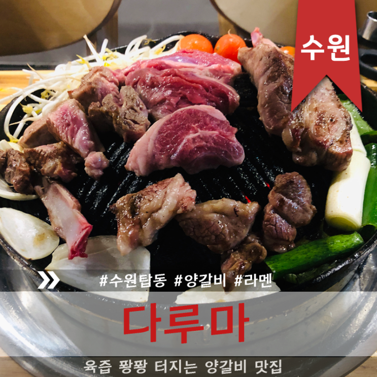  [다루마]육즙이 팡팡 터지는 양갈비 맛집 수원 탑동 다루마