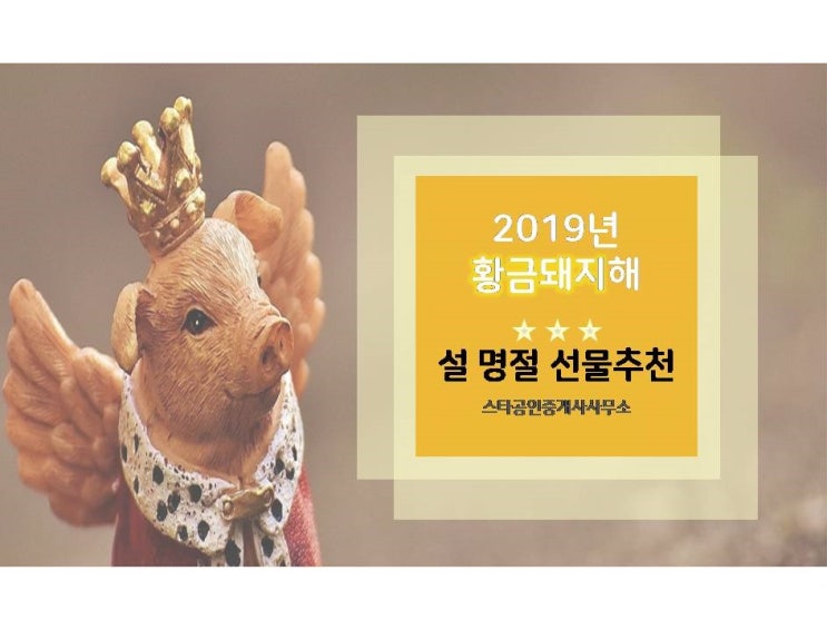  《 직장인 공감 》 2019년 황금돼지해, 다가오는 설 명절 선물 고민이신가요? 고민타파! 설 선물 추천합니다:)
