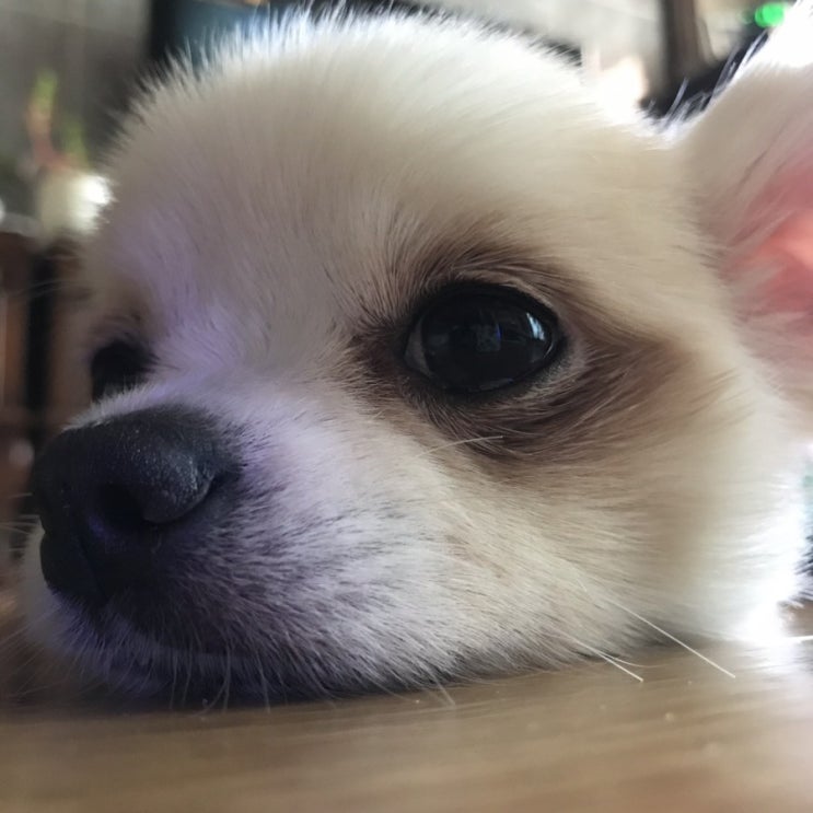  19년 1월 둘째주 소확행