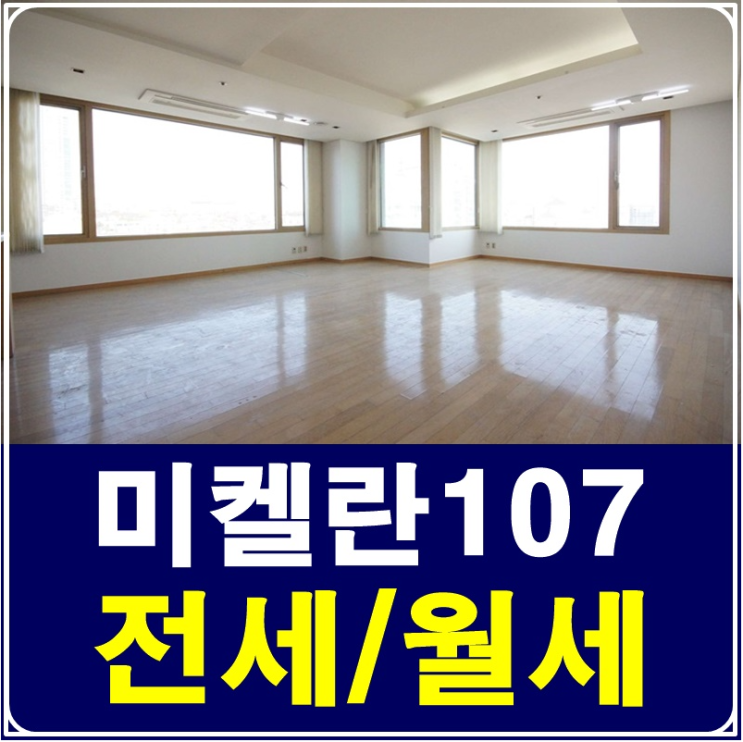  삼성미켈란107 전세부터 월세까지 다양해요