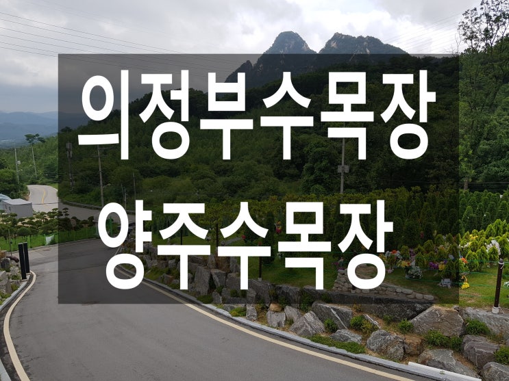  의정부수목장-자연과함께하는 휴식공간