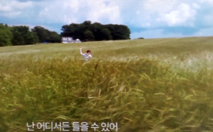  "어거스트 러쉬" 영화를 다시 보다