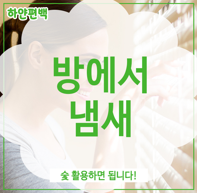  방에서 냄새, 숯 활용하면 됩니다!