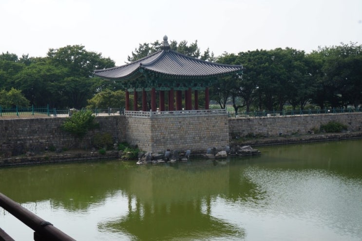 경주 동궁과 월지 안압지 구경하며 걷기