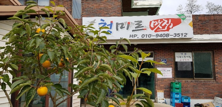  구원목과 구지목