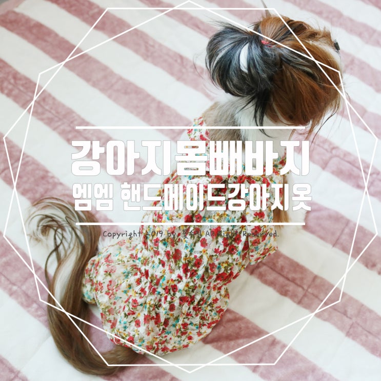  강아지몸빼바지 엠엠, 편하고 입는 순간 귀요미 변신!