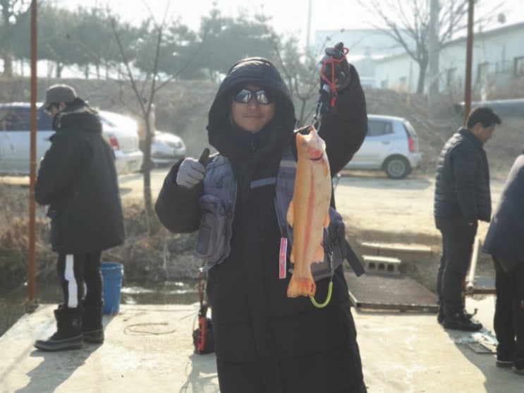  가산낚시터 폐장! 무료 송어낚시~