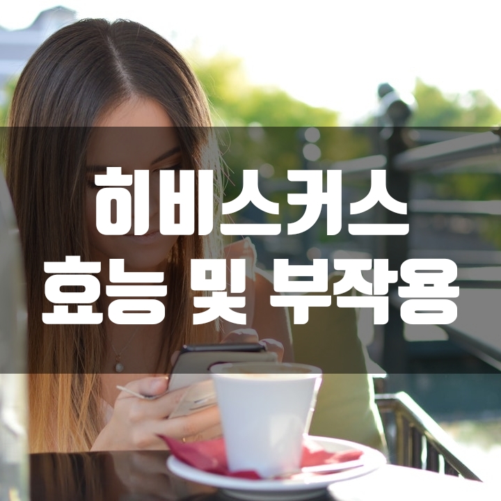  피부건강에 도움을 주는 히비스커스 효능 알아보기