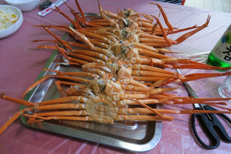  포항 문덕  홍게 무한리필 맛집 울진왕돌초