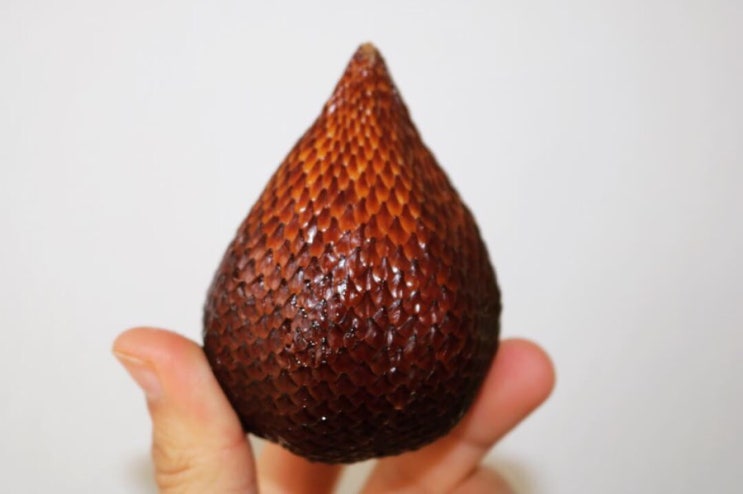 살라크 ;Salak 살라크 ;Salak