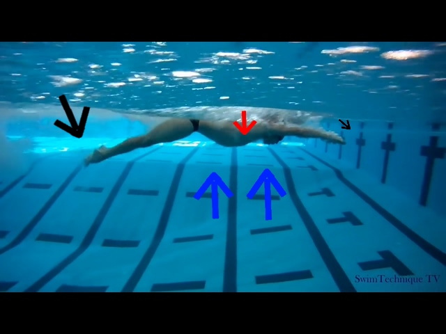 수영 접영 입수킥과 출수킥에 관한 고찰 ( 접영 웨이브에 따른 발차기의 높이가 틀리다 - 접영 잘하는법)
