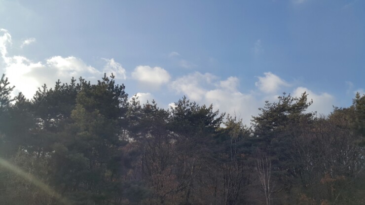  홍복산-호명산-한강봉-은봉산, 2019.01.15. (풍후창천)