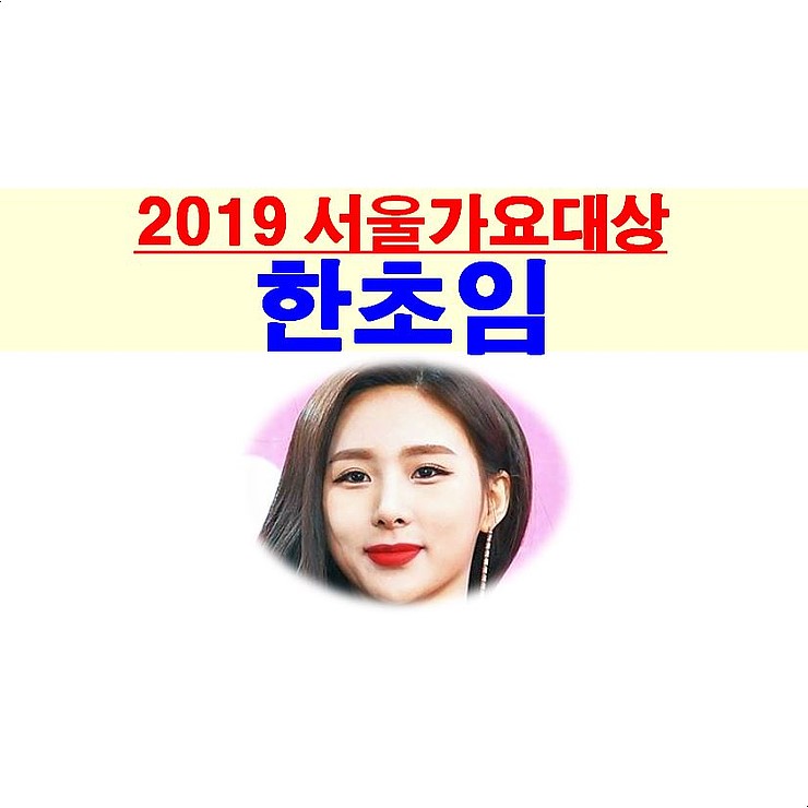 2019 서울가요대상 한초임 드레스, 수영복에 모기장 원단 걸친 듯