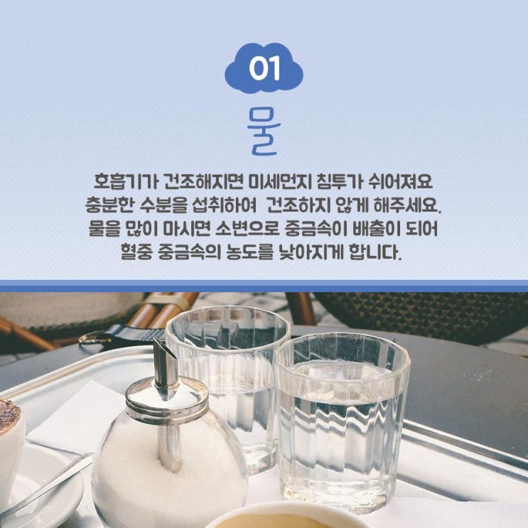  미세먼지에 좋은  음식들