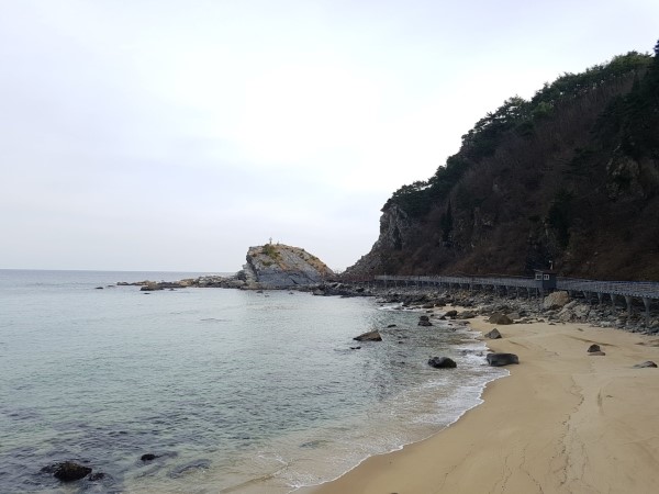  2019년 1월 15일 이세철의 출근길 뉴스/정책 브리핑