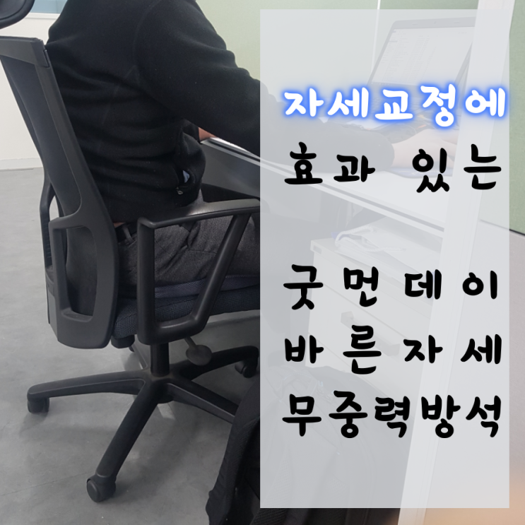  자세교정에 효과 있는 굿먼데이 바른자세 무중력방석(사무실에서 체험 후기)