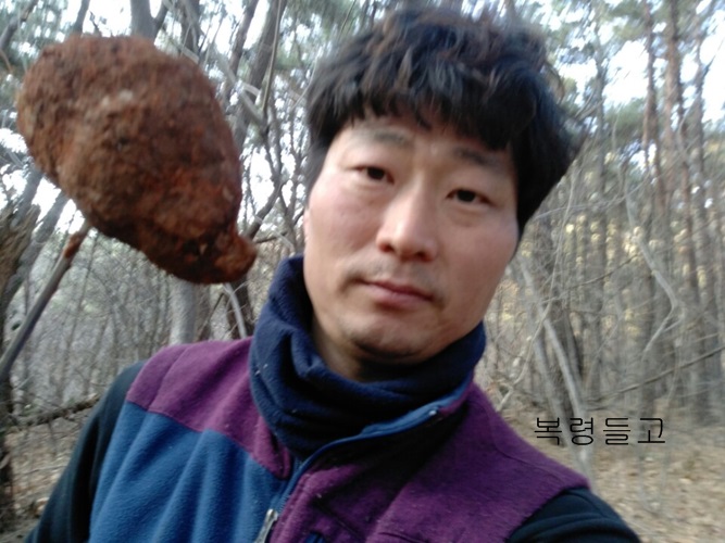  복령먹는법 상세히 알려드리고 문의 응대해드립니다.