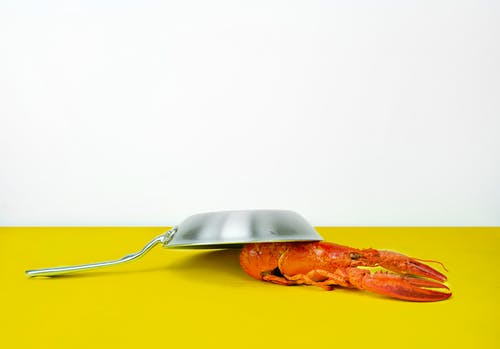  화식 2 - 질병과 노화의 방향성