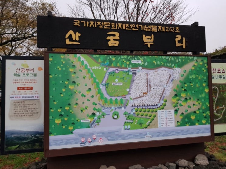 제주도가볼만한곳 :: 산굼부리 / 국가지정문화재 천연기념물 제263호