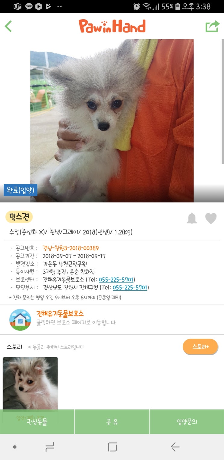  "숨고" 숨은 고수 어플로 반려견 행동교정 후기!
