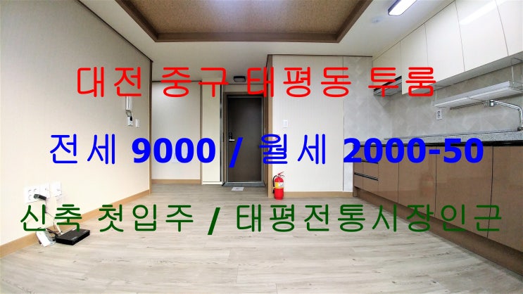  대전중구태평동신축투룸전세월세/태평전통시장신축투룸전세월세