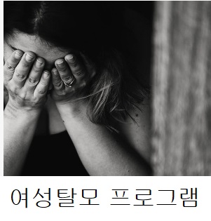 여성탈모 프로그램