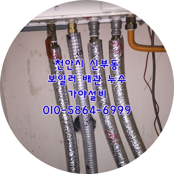  천안 신부동 원룸주택 보일러배관누수 보일러배관수리 수도배관이터졌어요