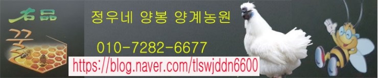  봄벌 일찍시작하는것이 꼭 좋은가 ? 봄벌깨우기