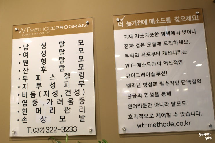  부천탈모관리 받아서 확실하게 변화가 됬네요