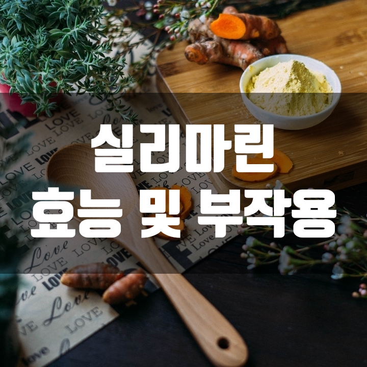  간을 살리는 실리마린 효능 및 부작용 알고 먹기