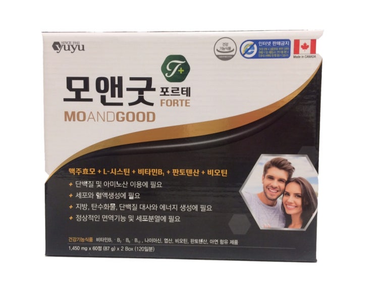  모앤굿 포르테