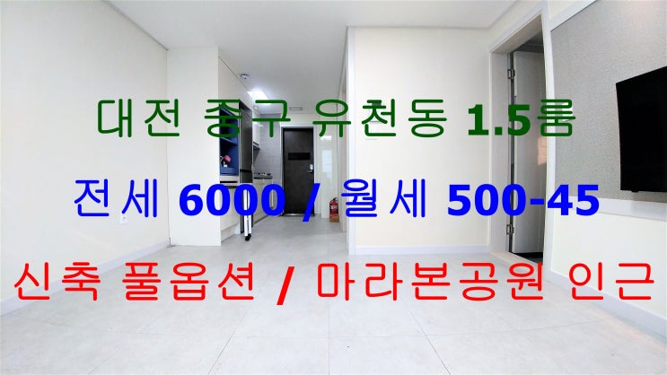  대전중구유천동신축풀옵션1.5룸/태평2동주민센터신축풀옵션1.5룸