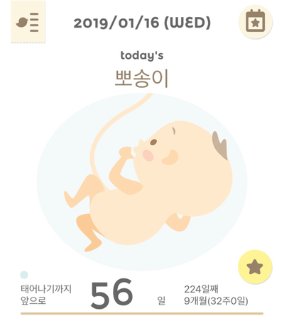  임신 32주 9개월 임신후기 증상
