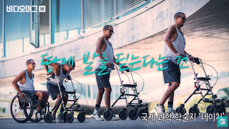  하반신 마비 환자에게 희소식