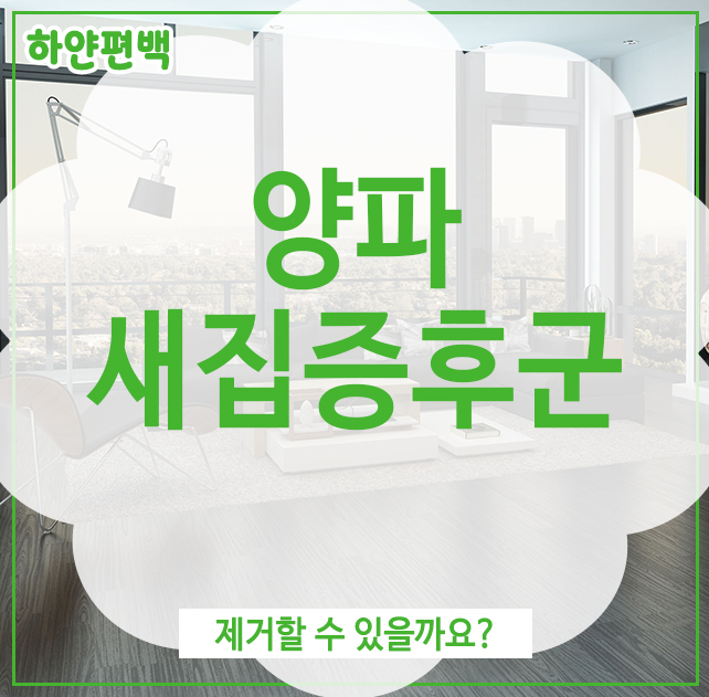  양파 새집증후군, 제거할 수 있을까요?