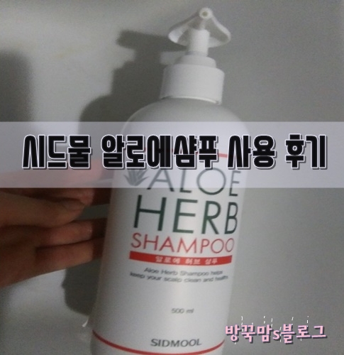  시드물 알로에 샴푸 사용 후기