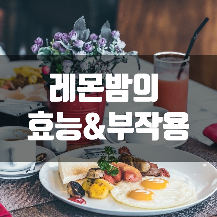 신경안정 스트레스 해소에 좋은 차 레몬밤