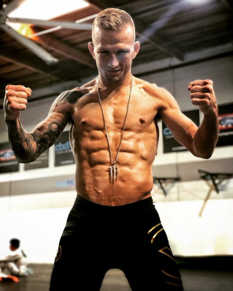 UFC모바일 실사패치/리뷰] 헨리 세후도 -H2H 버전- : 네이버 블로그, image size:800x998