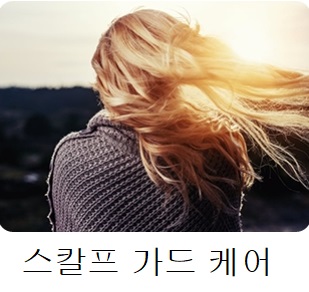 스칼프 가드 케어